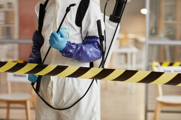 Professional Hoarding Cleanup technician working in Dale, TX